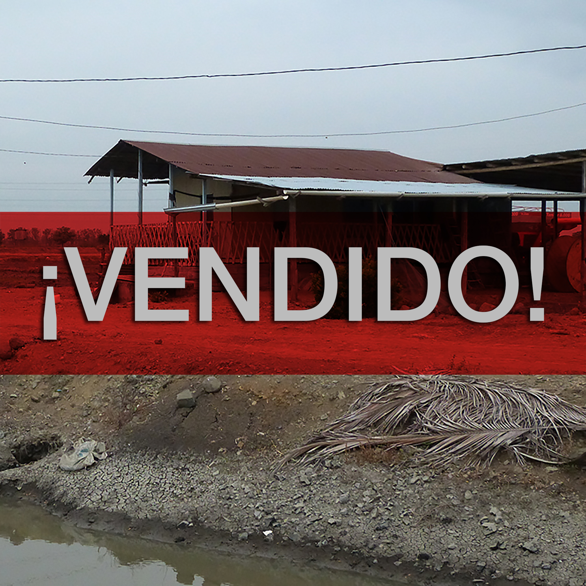 Concluido